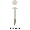 Ivanatrespaschroeven4,8x38wit