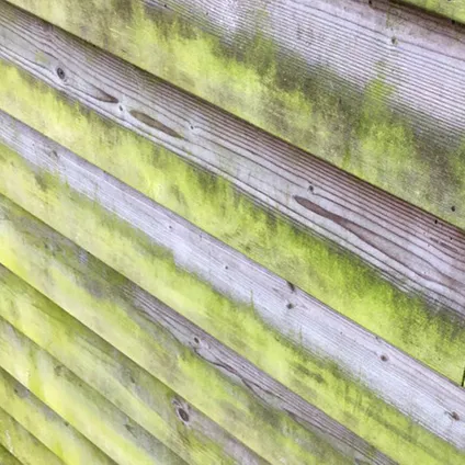 Super Megasept Groene Aanslag Verwijderaar 1 liter - Afbeelding 5