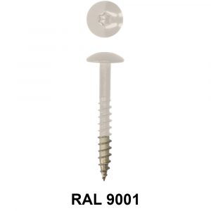 RVS A4 kleur Schroeven voor Trespa© 4,8x38 Creme RAL 9001 met Torx TX20 bitje verpakt per 100 stuks