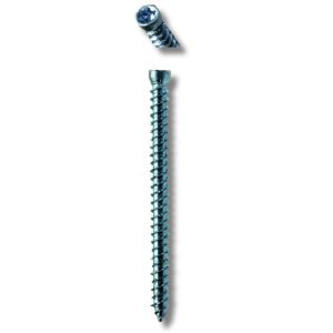 Ivana Kozijnschroeven met Cilindrische kop 7,5x112 mm Torx TX30 verpakt per 100 stuks 55191