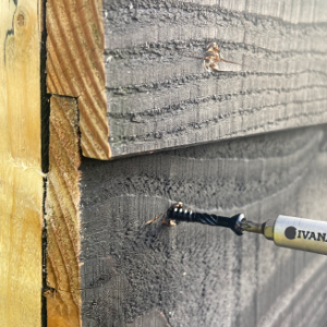 Ivana Blackline Potdekselschroef Torx RVS410 Shield Zwart - Afbeelding 2