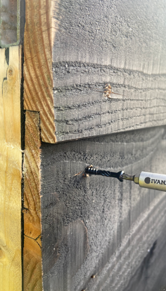Ivana Blackline Potdekselschroef Torx RVS410 Shield Zwart - Afbeelding 2
